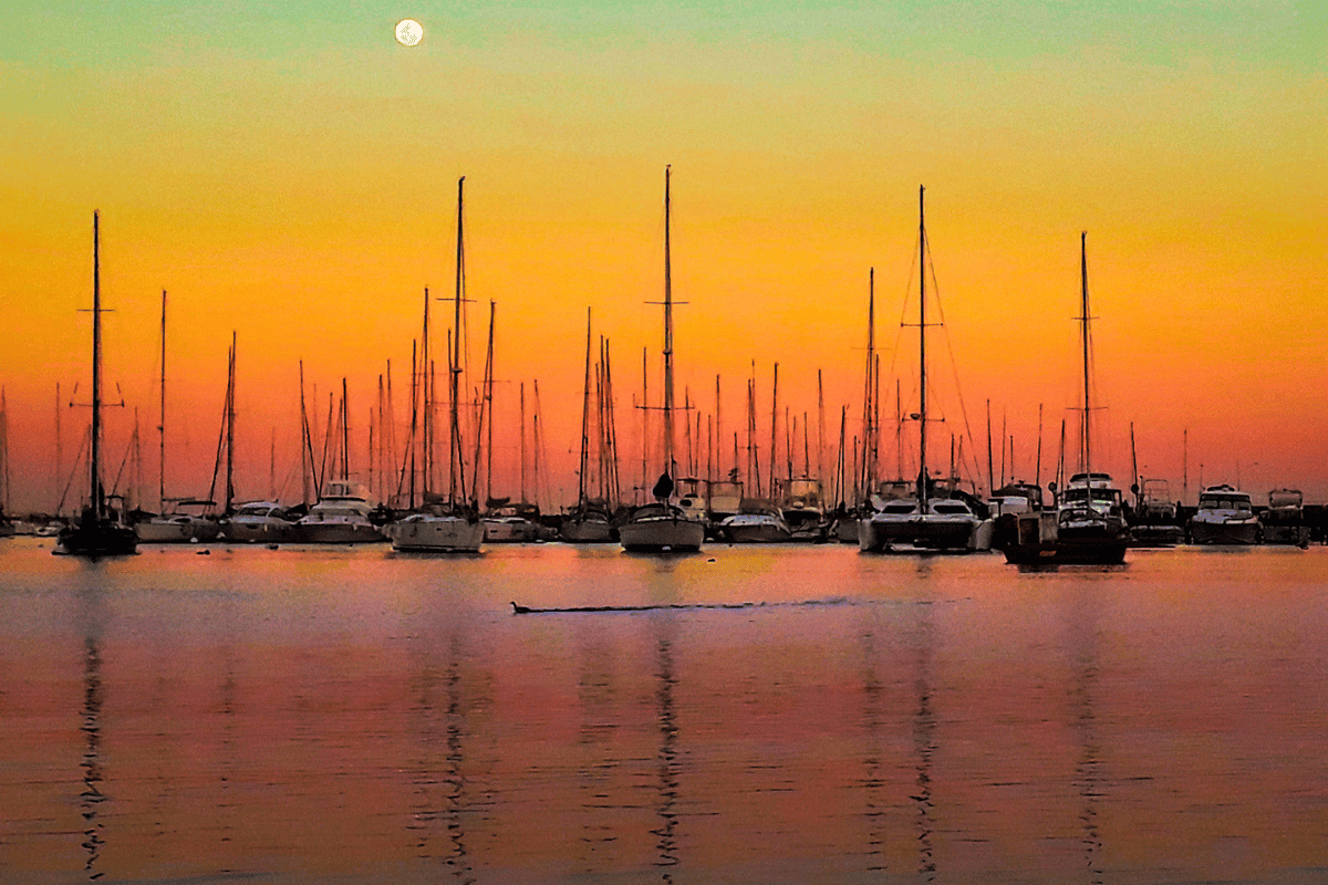 Puertos libres en Uruguay