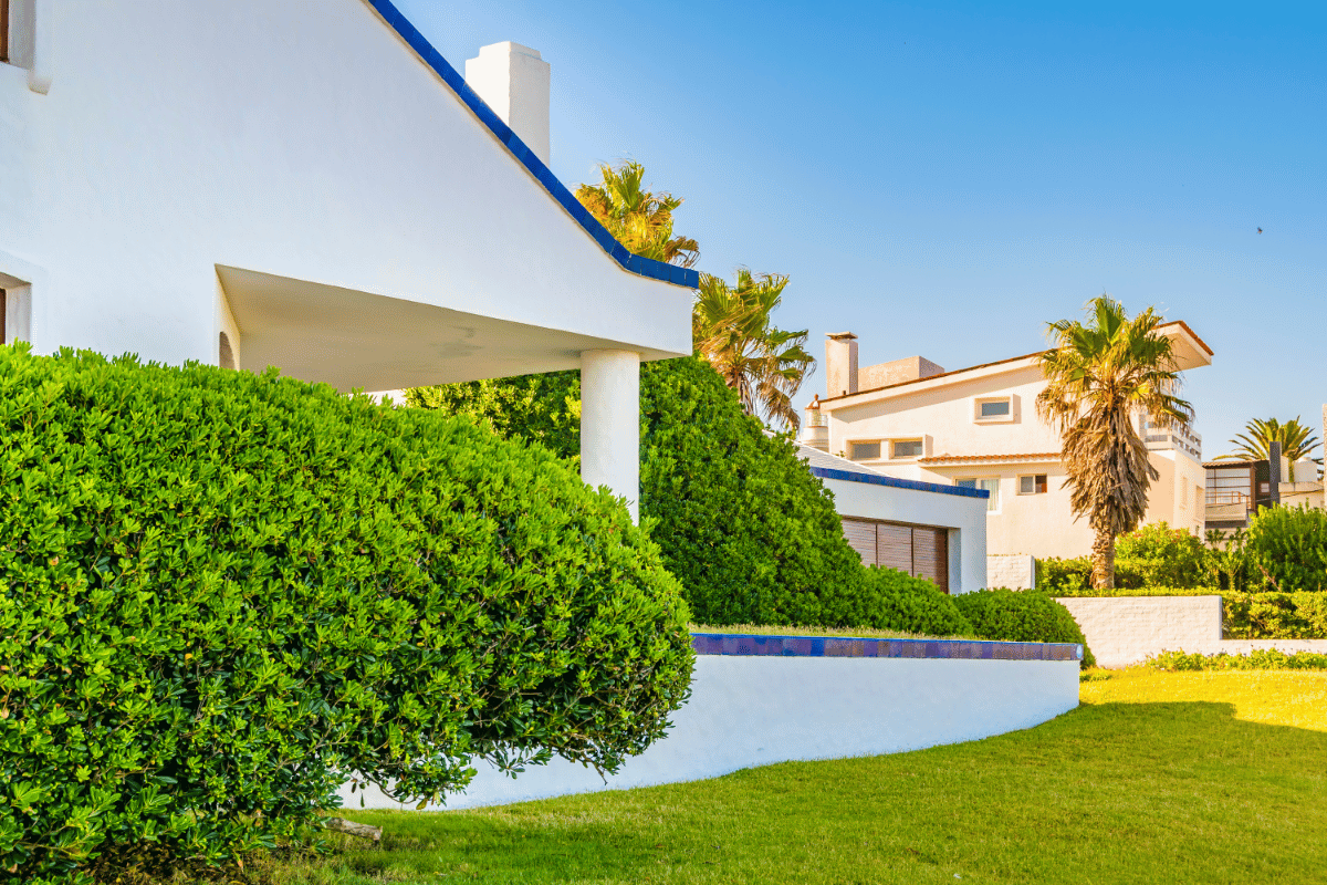 Por qué invertir en el sector inmobiliario en Uruguay