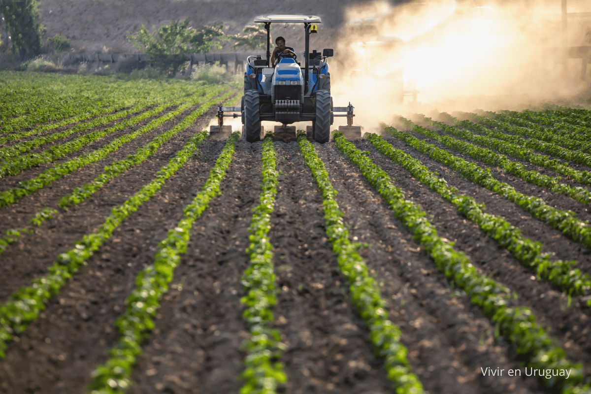 La maquinaria agrícola en Uruguay