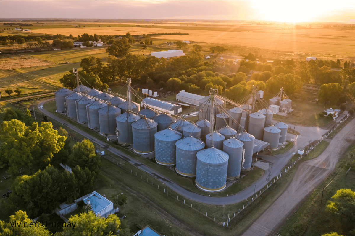Los productos químicos en Argentina