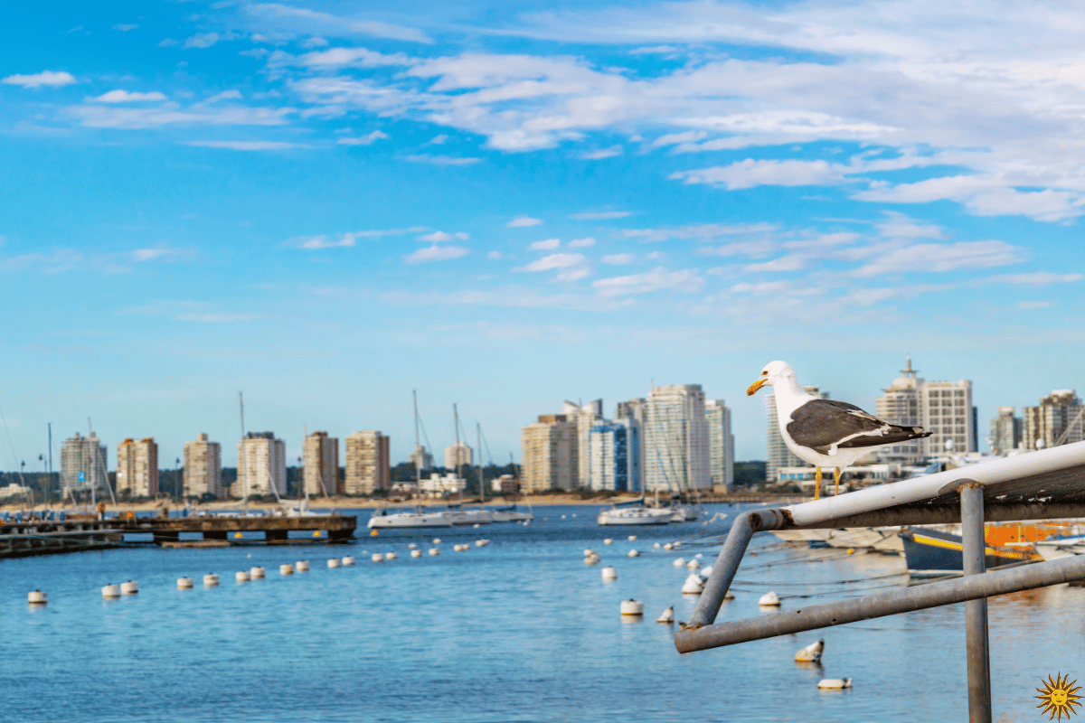 Uruguay: Un Destino Excepcional para el Retiro de Japonés