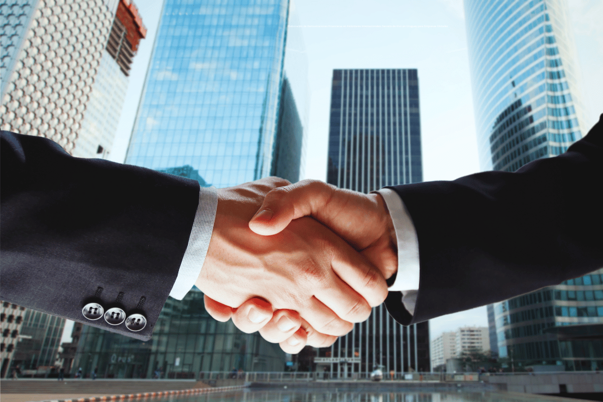 Elaboración de Demostraciones Financieras en Estándares Internacionales Servicio de Vivir en Uruguay para Empresas Globales
