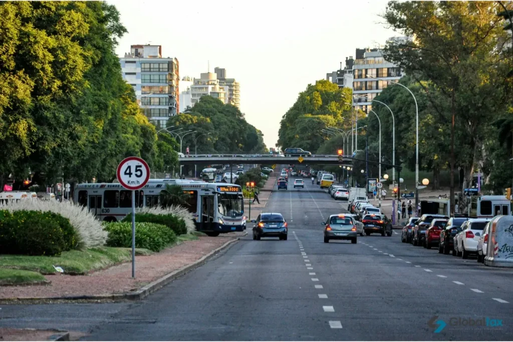 Avenida arbolada con ómnibus y autos en Montevideo al atardecer