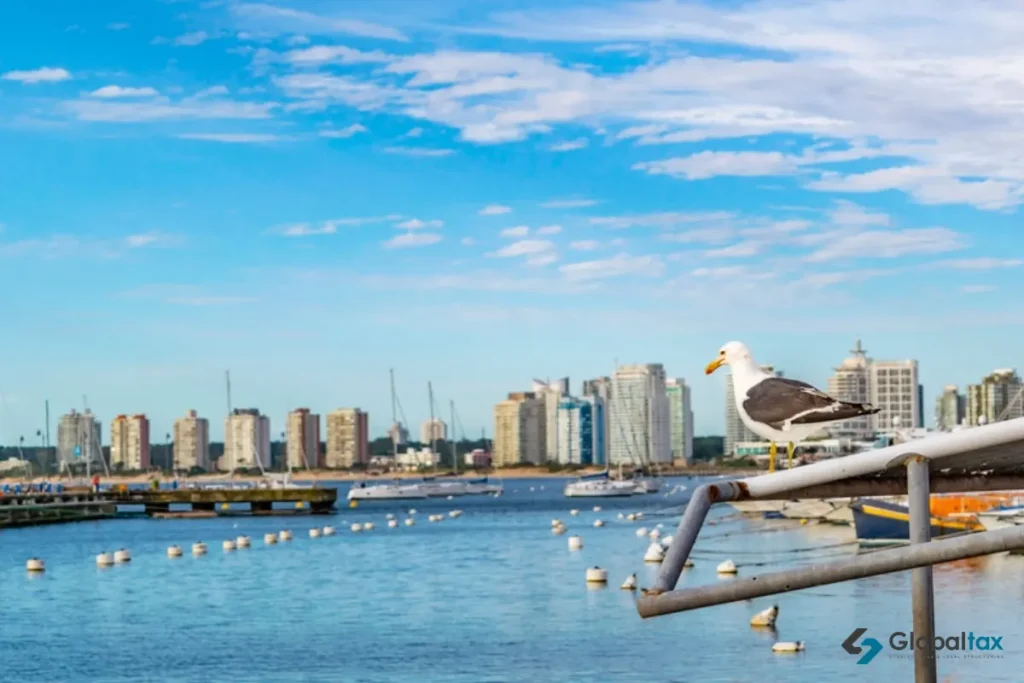 Gaviota en el puerto de Punta del Este, guía de PSAV y activos virtuales en Uruguay