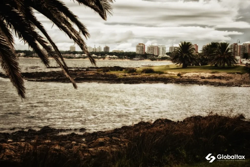 Costa de Punta del Este con palmeras y la ciudad al fondo
